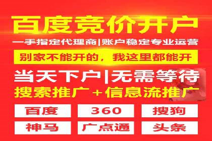 成功SEM推广代运营案例分享