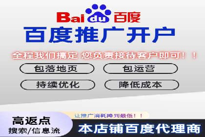 探索百度SEM竞价推广的奥秘：某行业巨头的成功经验